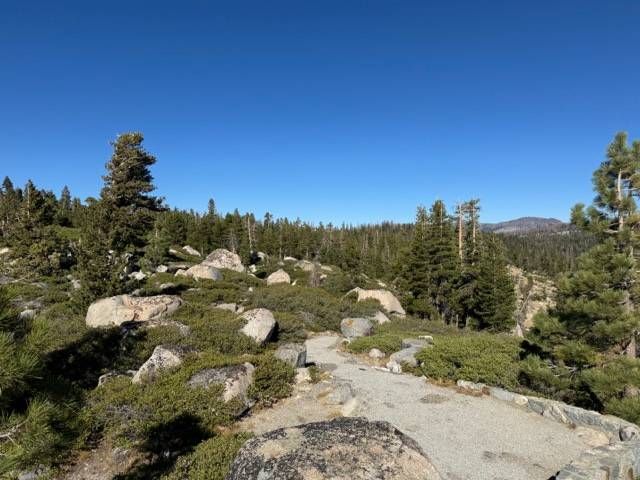 Location photo