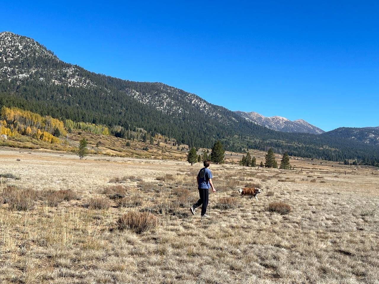 Hope Valley Meadow