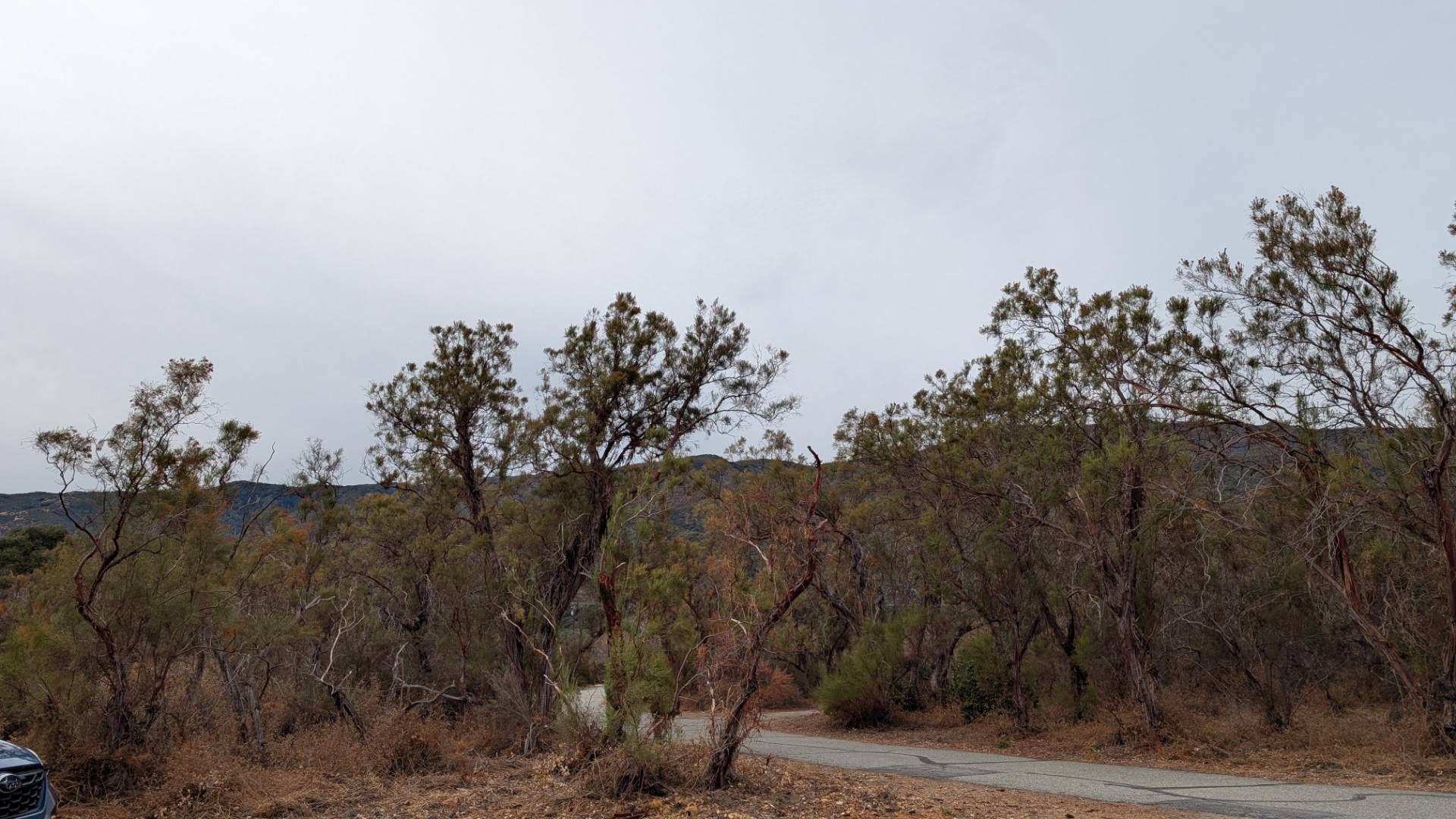 Location photo