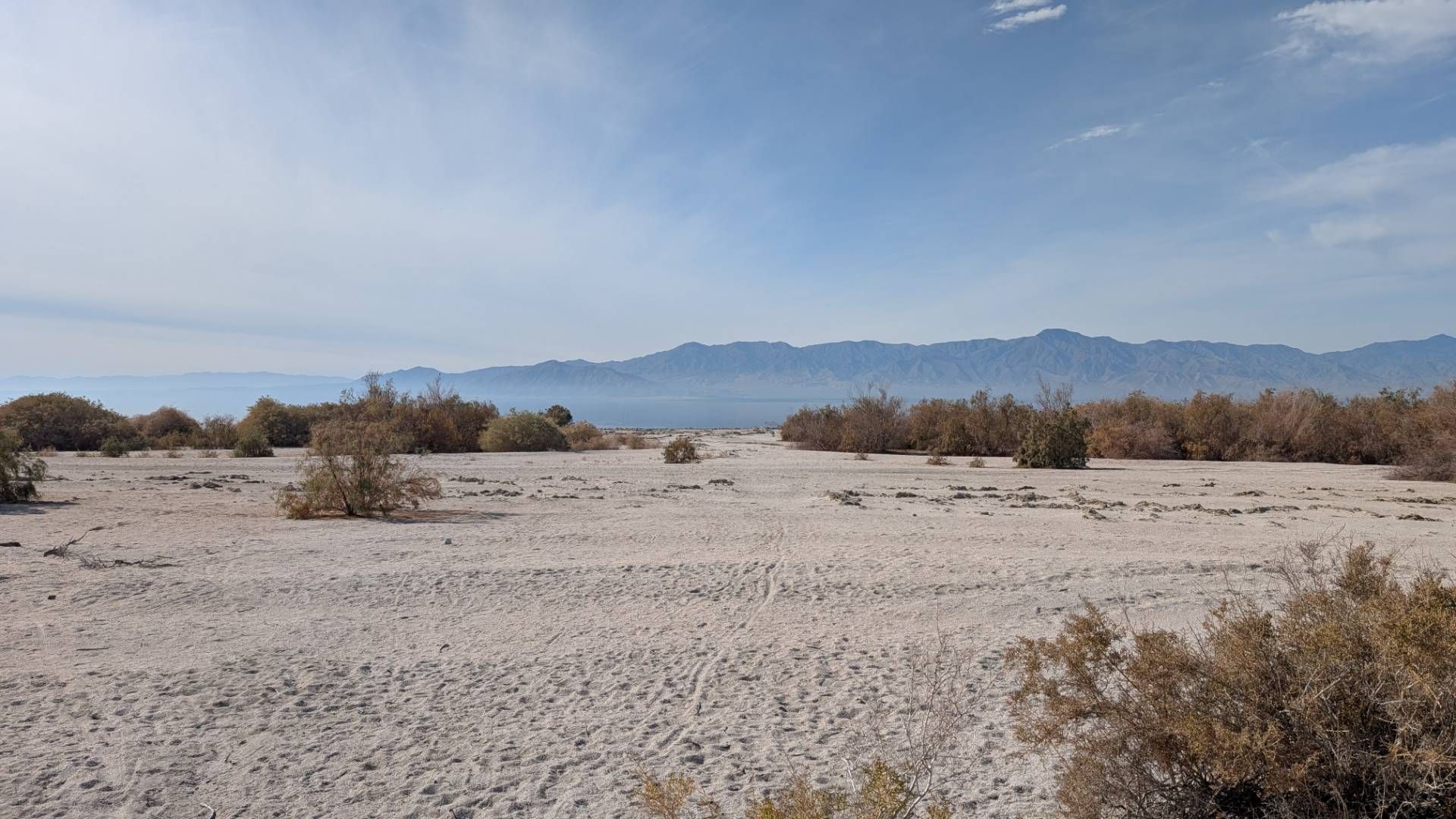 Salton Sea 