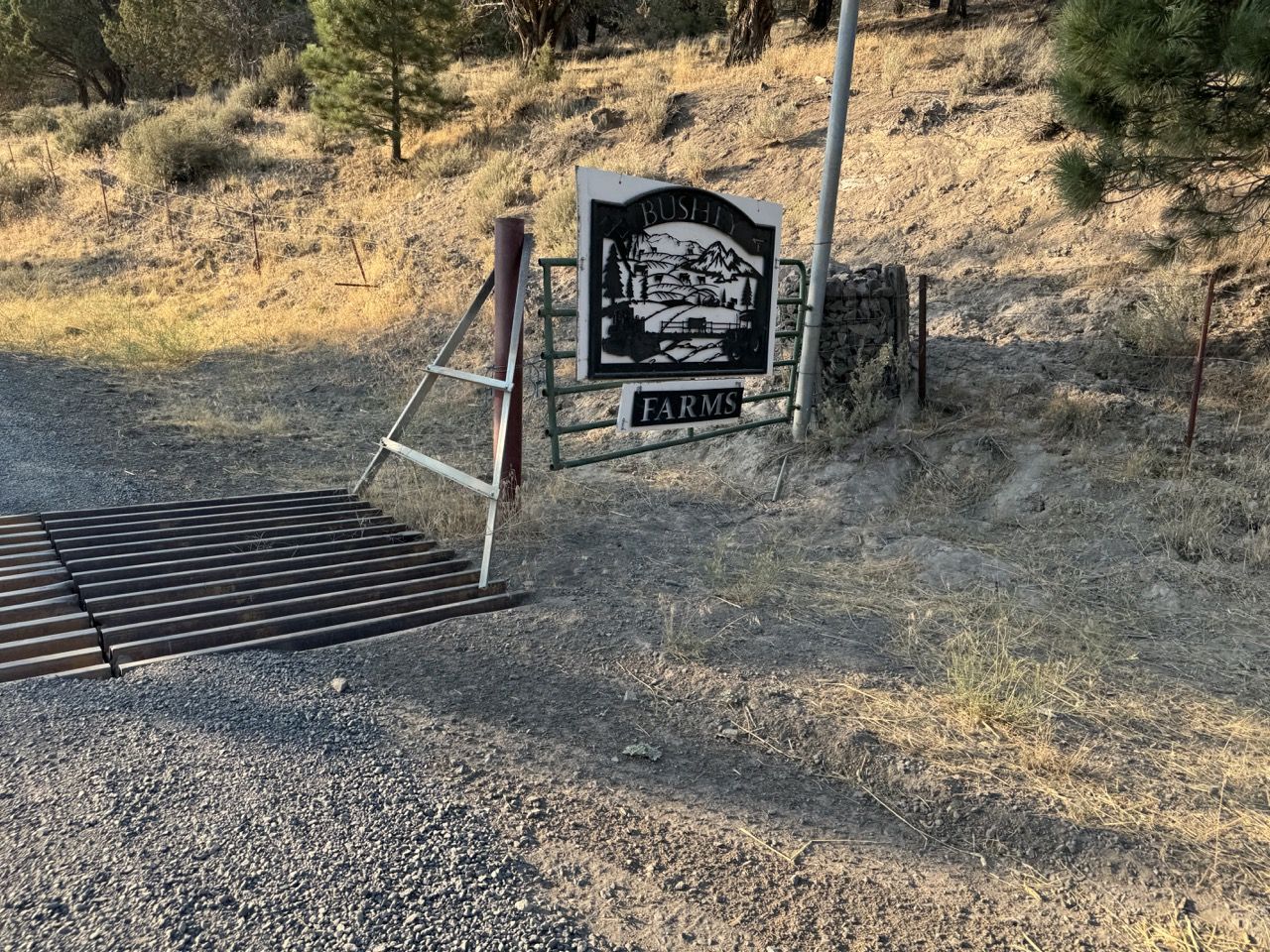 Location photo