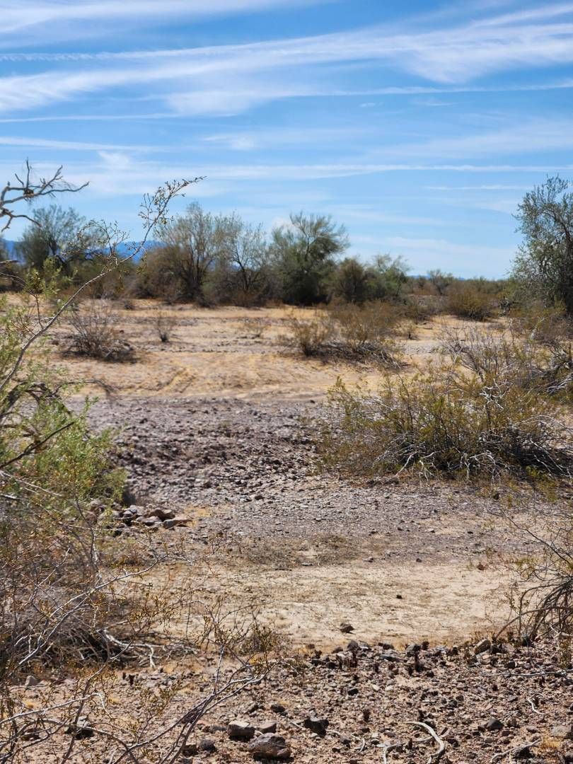 BLM LAND 