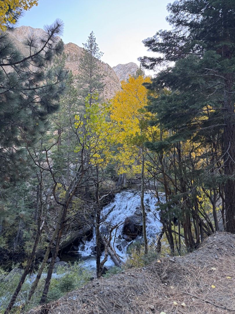 Easy access near the creek 