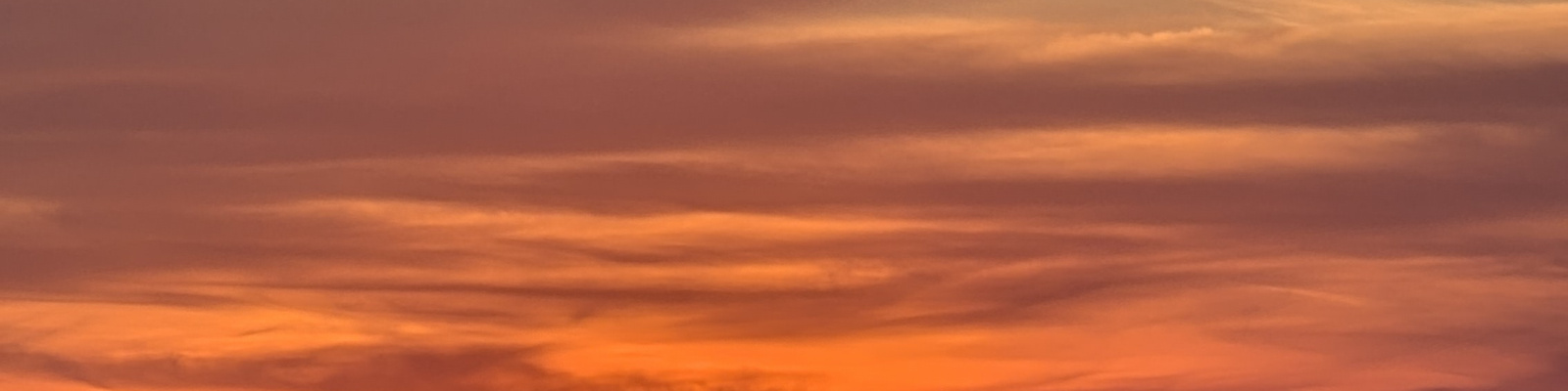 Profile Banner