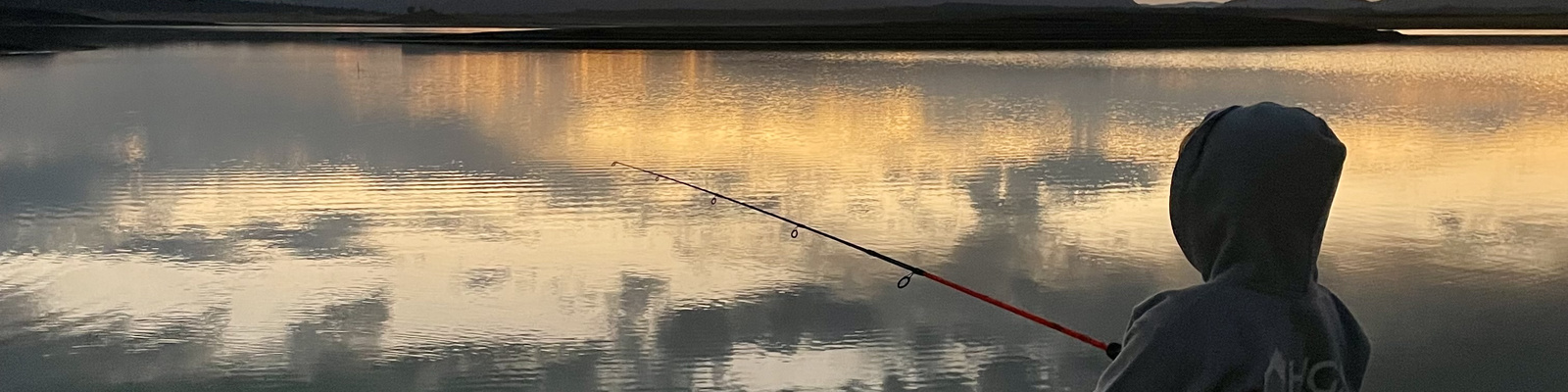 Profile Banner
